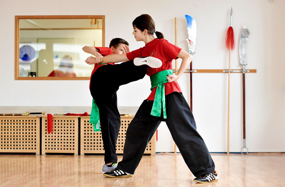 kung fu wushu techniques